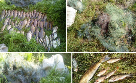 На Менщині спіймали двох браконьєрів з 17 кілограмами риби