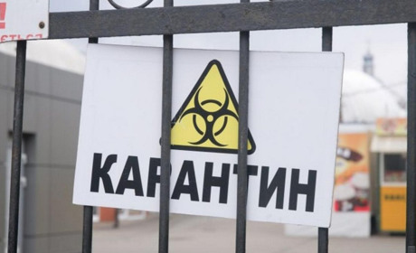Вспышка коронавируса: в Болграде вновь закрывают рынки и прекращают пассажирские перевозки