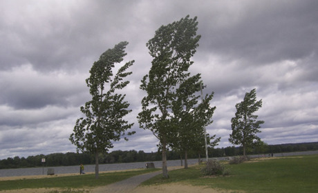 На вихідні у Кагарлицькому районі можливі пориви вітру до 13 м/с