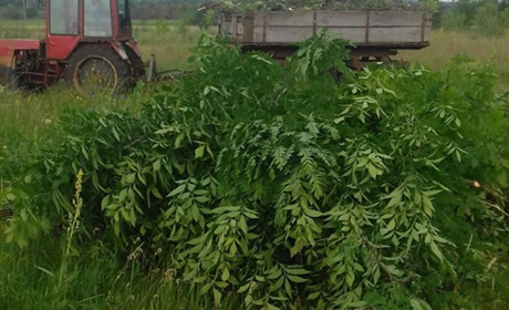 Впорядкували разом Будинівське кладовище