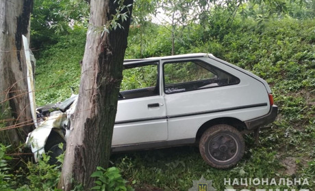 У Чемерисах-Барських водій автомобіля «Таврія» з'їхав у кювет в зіткнувся з деревом