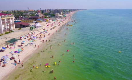 Чому сірогозці вибрали для відпочинку пляжі Азовського моря? Фаворити Генічеськ і Кирилівка