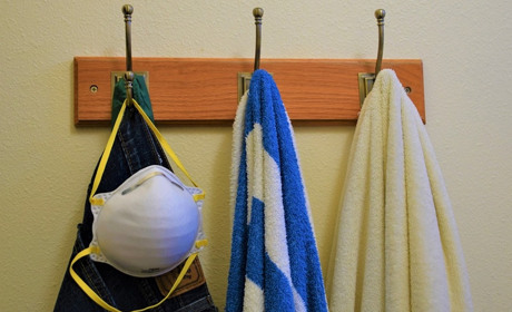 У сусідів: безробітних стало більше, тюльпанові дерева цвітуть