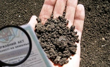 Одна ділянка - два власники: як обдурюють селян на Білопільщині