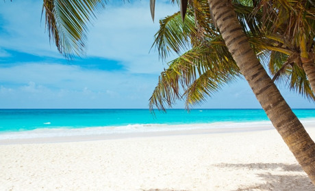 Куди полетіти: в Україні запустили інтерактивну мапу з правилами в'їзду до країн під час пандемії