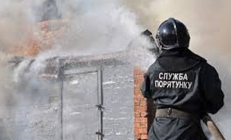 У Козилівці на Корюківщині блискавка влучила у сарай. Загинули домашні тварини