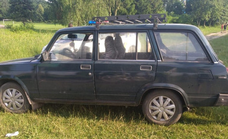 Замість пікніку на природі потрапили в лікарню. П'яний водій "задом" наїхав на відпочивальників