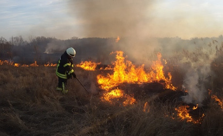За тиждень в Троїцькому районі загасили дві пожежі