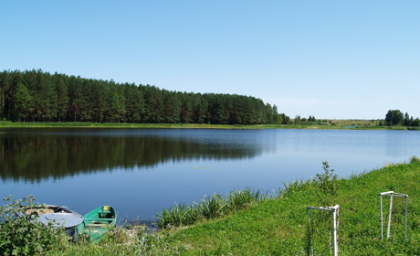 Чернігівці купують у Романівській Буді на Корюківщині дачі