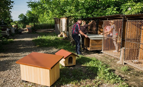 «Орісіл-Фарм» допомагає відновлювати «Дім Сірка»