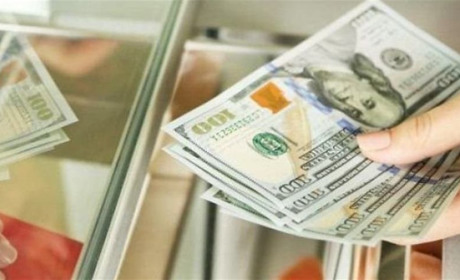 Як дізнатися вигідний курс валют в Україні