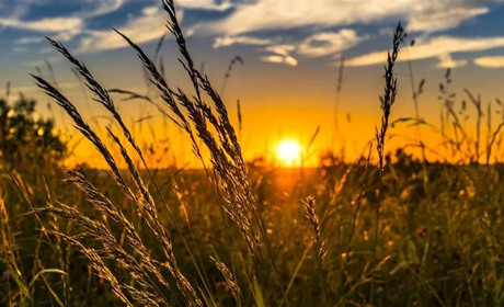 Із середи наступного тижня у Кагарлицькому районі очікується зниження температури до +21