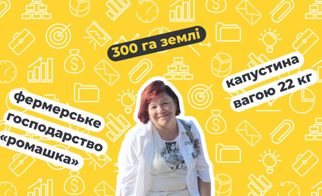 Овочі-гіганти на 300 гектарах землі. Як працює овочеве господарство «Ромашка»