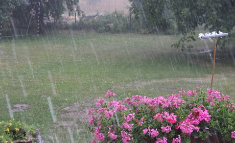 Погода на 6-12 липня: мікс дощу та спеки