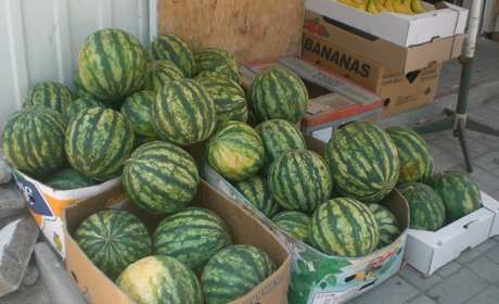 Абрикоси, персики, кавуни – які види на врожай