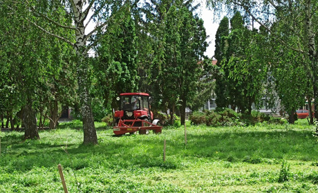Фото дня: барські комунальники косять траву в парку