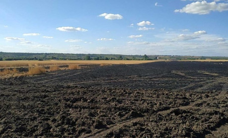 "Вогняні жнива": у підпалі пшеничного поля на Лозівщині підозрюють дітей