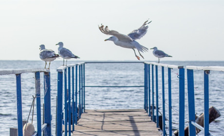 Дивовижні місця на курортах України, які чекають туристів