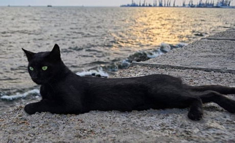 Метеостанція Нижні Сірогози: прогноз погоди з 14 по 18 липня