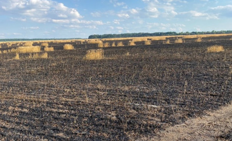 Згоріла пшениця та автомобіль. Поліція повідомила нову інформацію про пожежу біля Волновахи