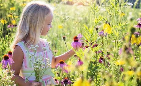 Погода на тиждень 27 липня - 2 серпня: очікується спека та грози