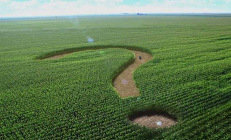 Що треба знати про земельну реформу: головні нововведення відкриття ринку землі 