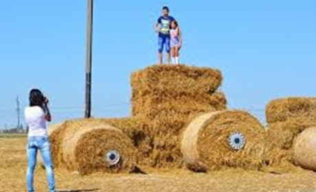 Фермерські поля із тюками соломи – популярні локації для фотосесій. Як знімаються переяславці