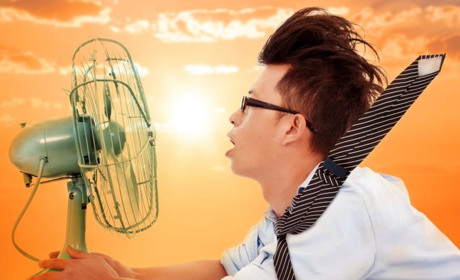 На наступному тижні в Кагарлицькому районі повітря прогріється до +31