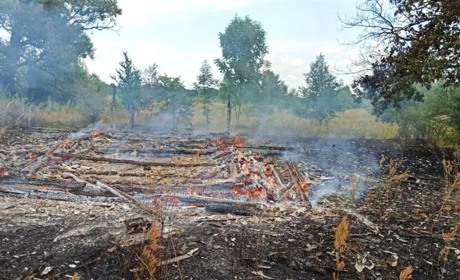 Спочатку хата, потім сарай, згодом погріб. Як у Буді за декілька років вигоріло людське обійстя