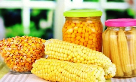 Заготовляємо кукурудзу на зиму: заморожуємо, сушимо, консервуємо, маринуємо