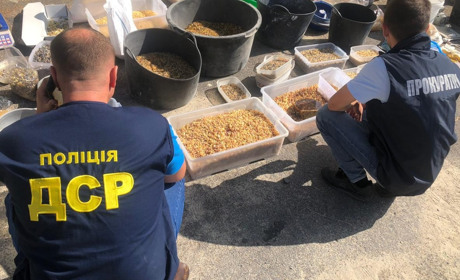 Правоохоронці вилучили сотні кілограмів бурштину на понад 2 мільйони гривень