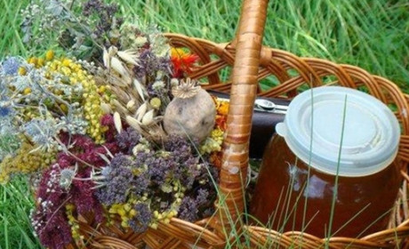 14 серпня — Маковея, Винесення чесних древ Животворчого Хреста