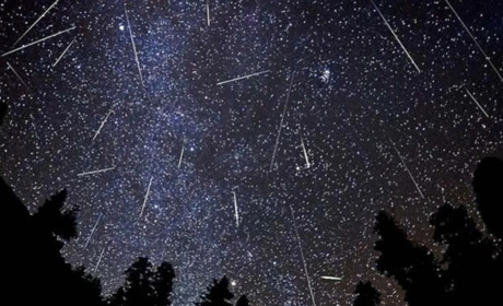 Зорепад Персеїди: де та коли можна його спостерігати