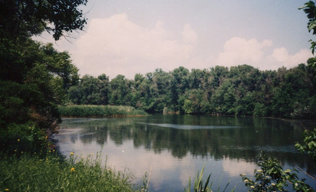 Затопленная история: как плавни превратили в водохранилище