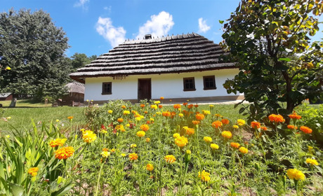 Громади і села Кіцманщини беруть участь у конкурсі: проголосуйте за їх відеоролики