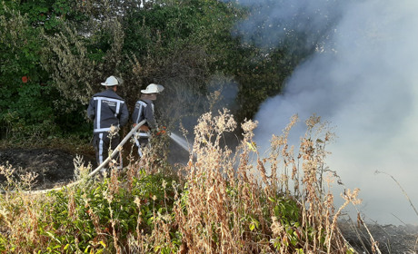 16 серпня у Ржищеві та Гребенях сталися пожежі - горіло сміття