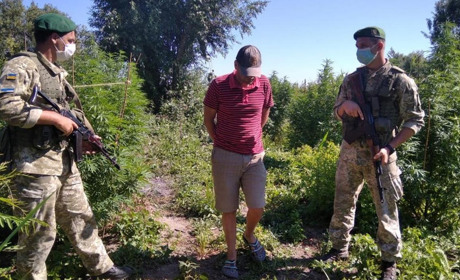 Задержали на горячем: измаильские пограничники поймали нарушителя за сбором урожая на наркоплантации