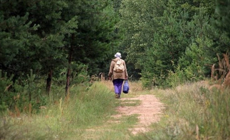 Шукають третій день: бабуся пішла в ліс і не повернулась