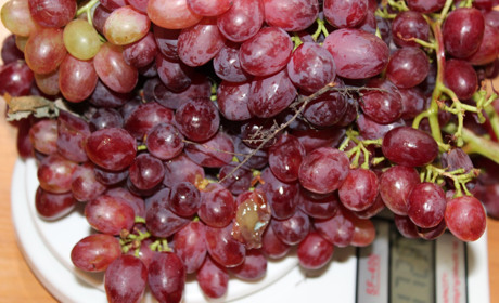 Як троїцький садівник вирощує виноград без "хімії"