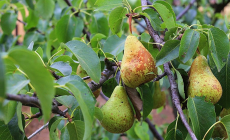 Погода на тиждень 25-30 серпня: якими будуть останні дні літа