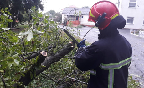 Удар негоди відчули на Старокостянтинівщині. Шквальний вітер повалив дерева