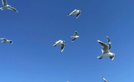 Лайфхаки для тих, хто їде відпочивати у Скадовськ