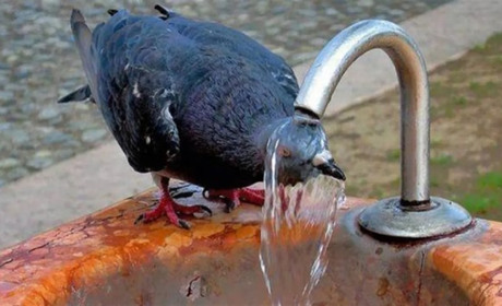 Перша половина наступного тижня на Кагарличчині знову буде спекотною