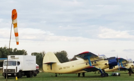 Вакцину від сказу тварин розкидатимуть у вересні над лісами і сільгоспугіддями