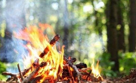 На Полтавщині оголошено найвищий рівень пожежної небезпеки