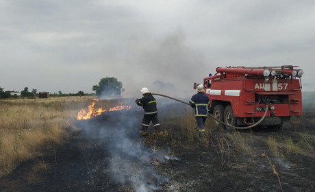У Миколаївці загорілися луки: вогонь знищив майже чотири гектари рослинності (Відео)