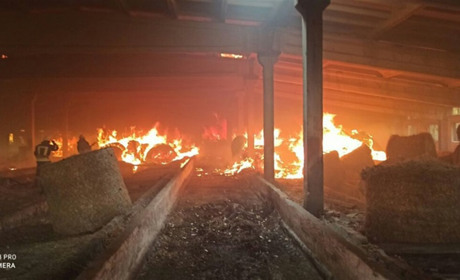 За вихідні у Циблях згоріло сміття, а у Великій Каратулі — сіно