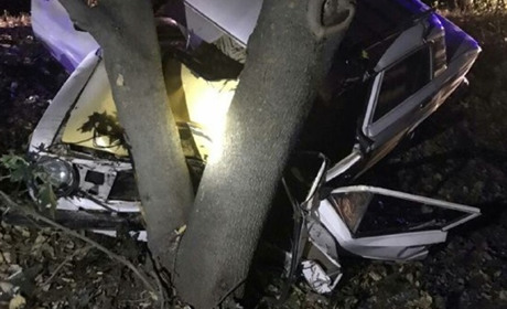 У Виповзках "копійка" в’їхала у деревину