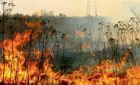 За тиждень в Троїцькому районі вогнеборці загасили 9 пожеж