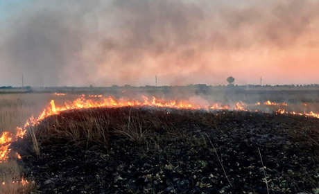 День рятівника на Гадяччині: пожежники приборкували вогонь